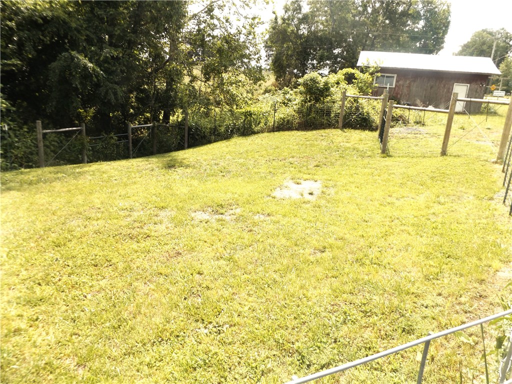 Image 12