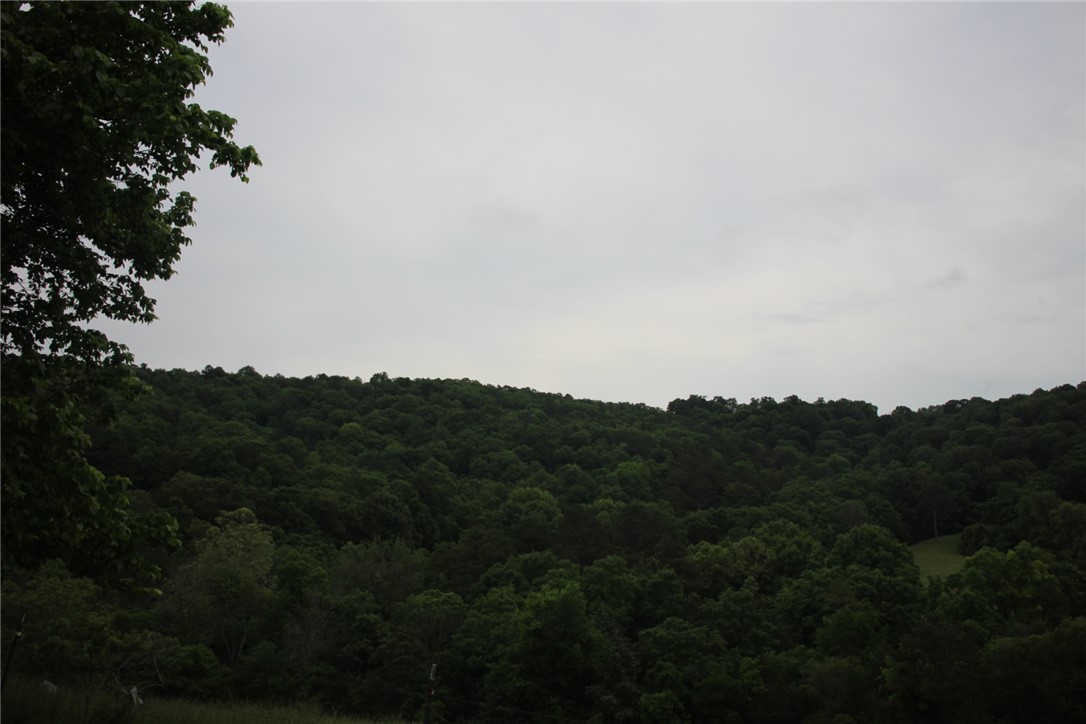 Image 13