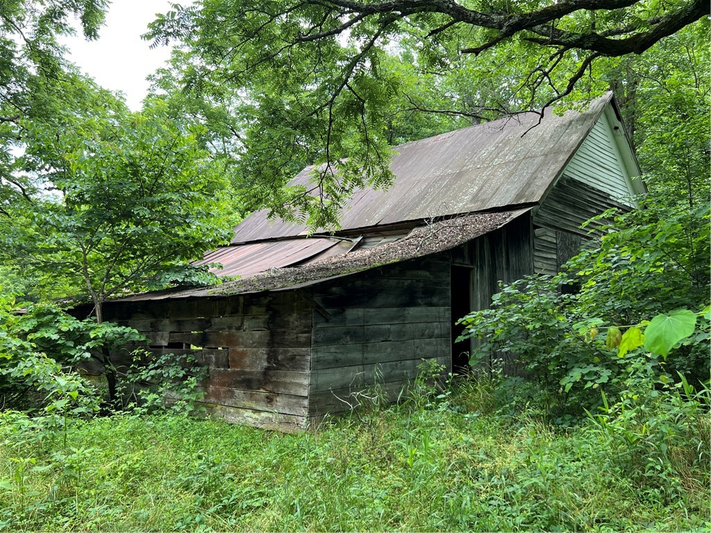 Image 9