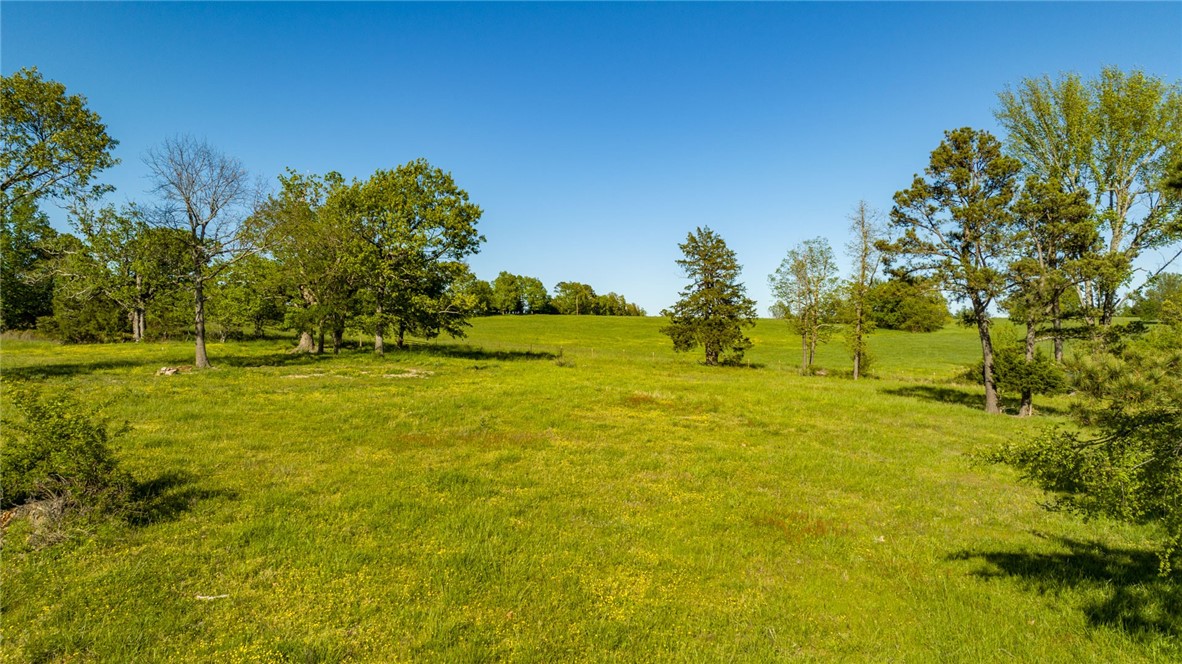 Image 32