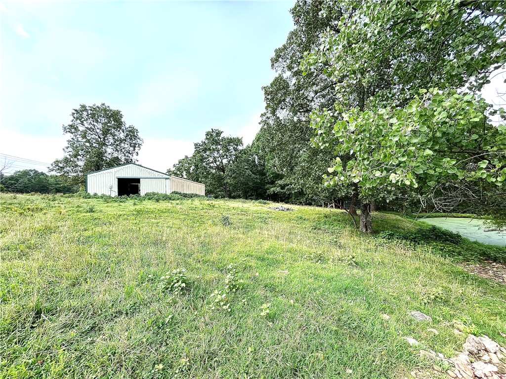 Image 12