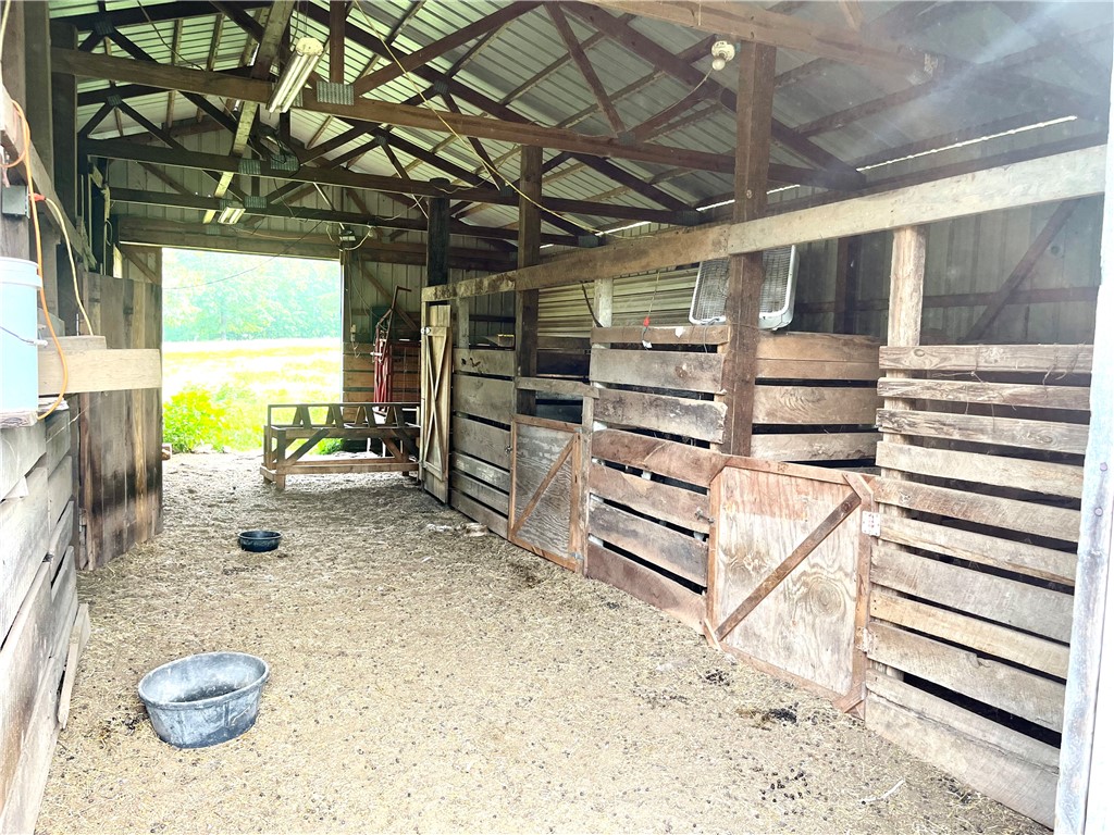 Image 18