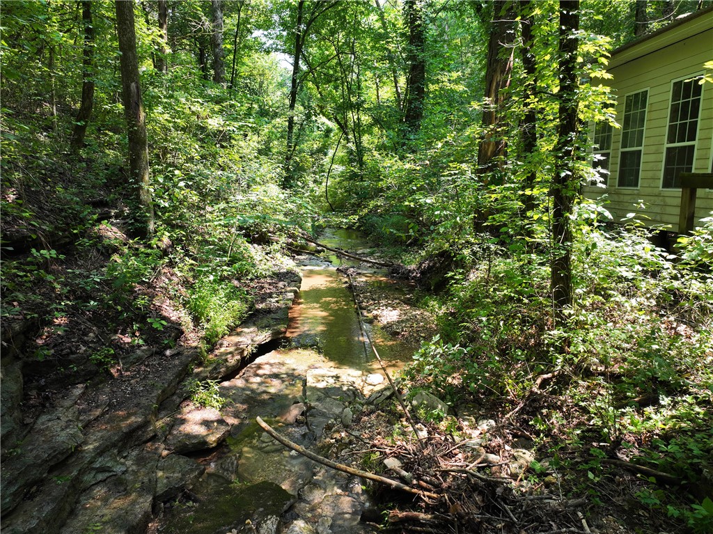 Image 13