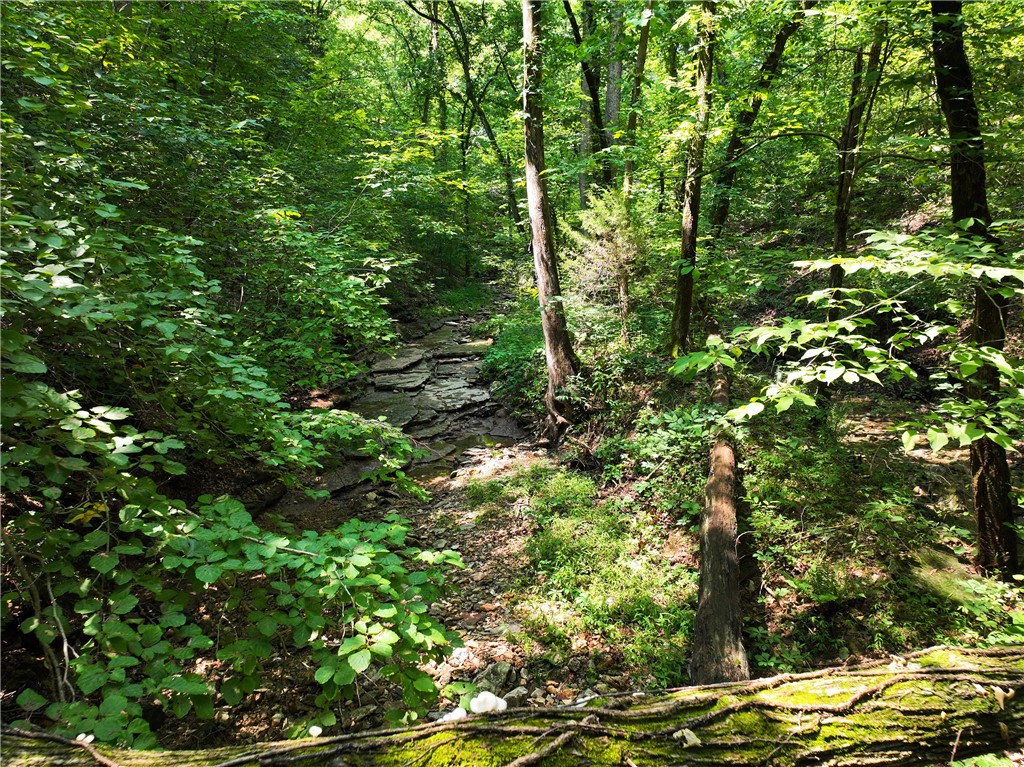 Image 14