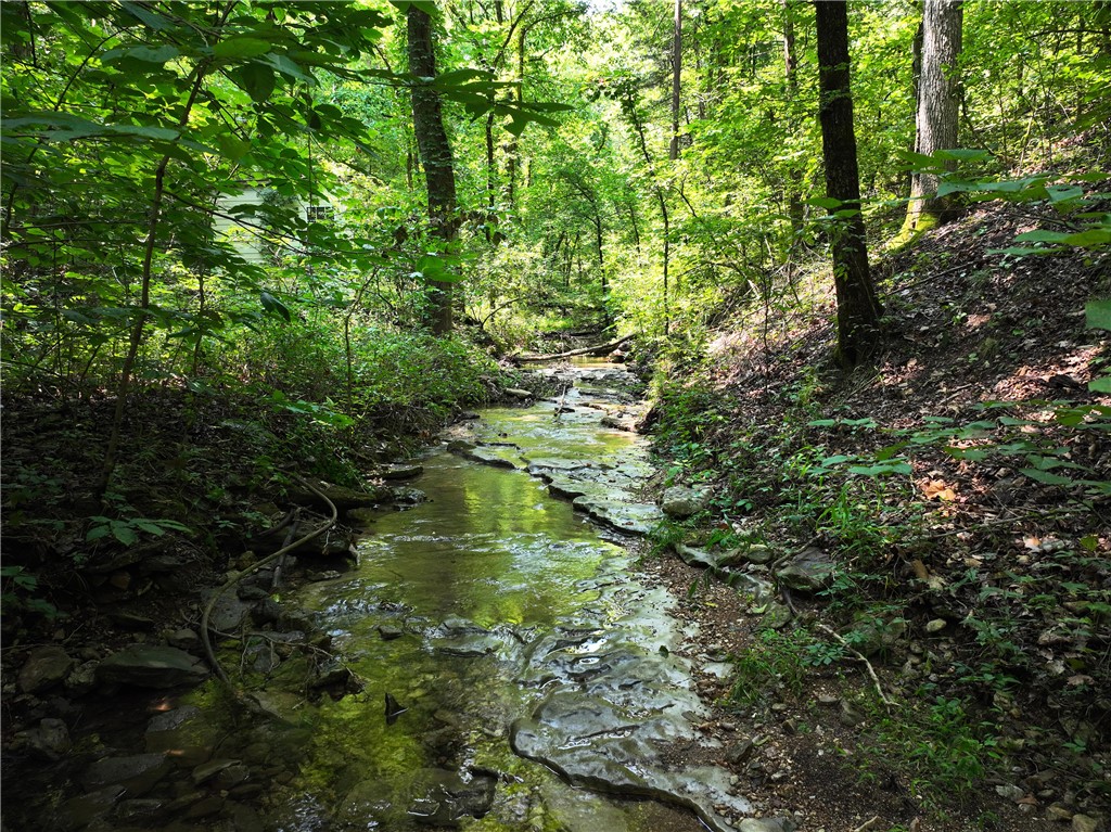 Image 15
