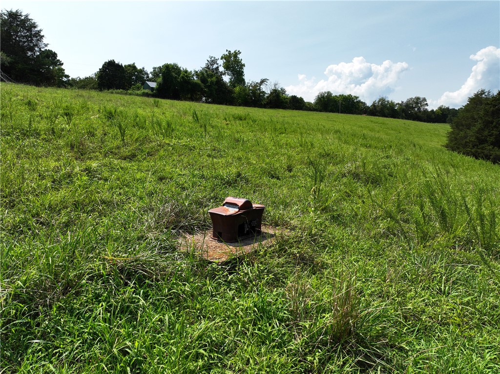 Image 17