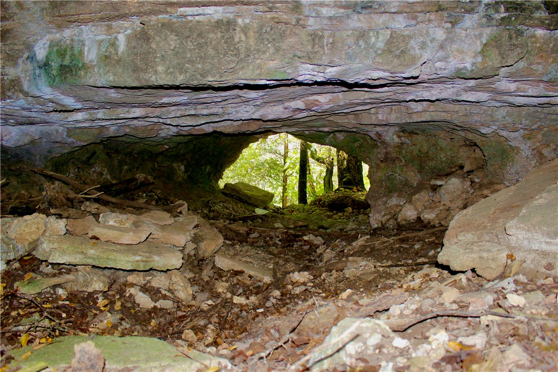 Image 21