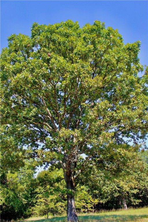 Image 27