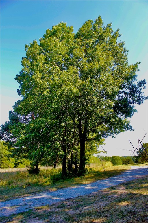 Image 30