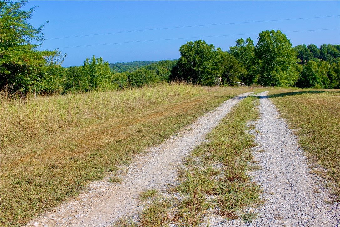 Image 35