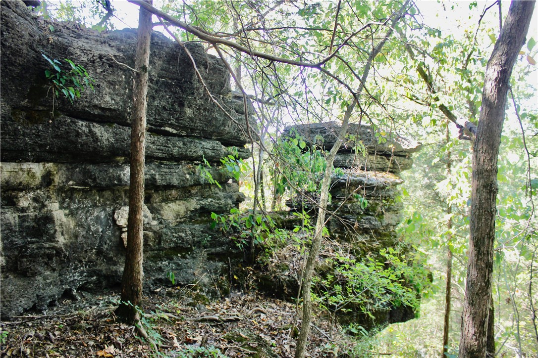 Image 45