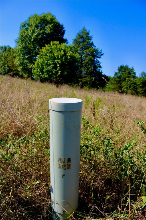Image 14