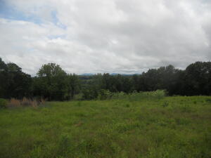 Image 13