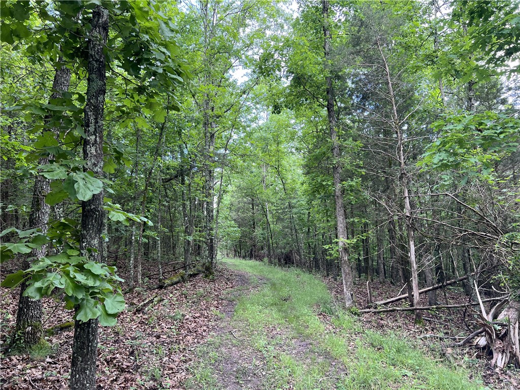 Ozark Haven Realty property-listing-thumbnail