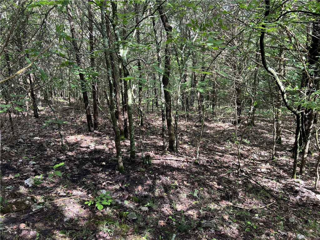 Image 13