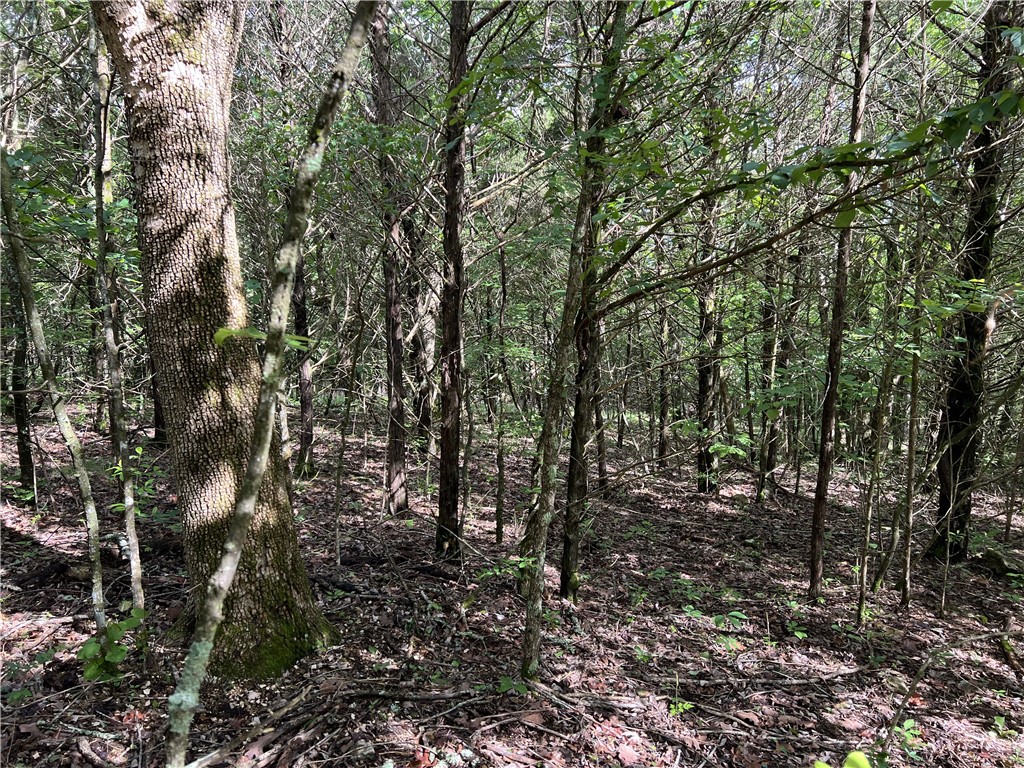 Image 14
