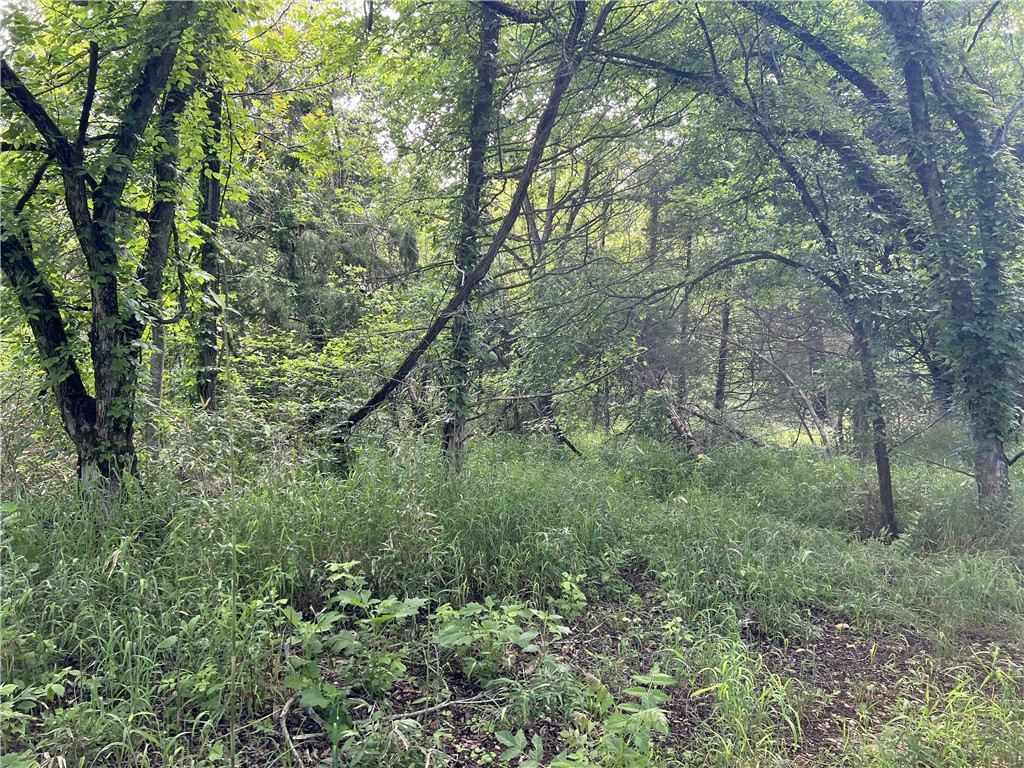 Image 8