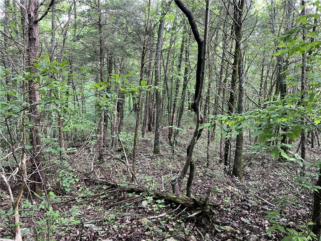 Image 9