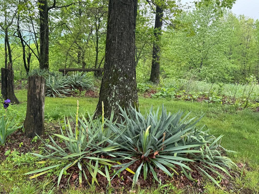 Image 12