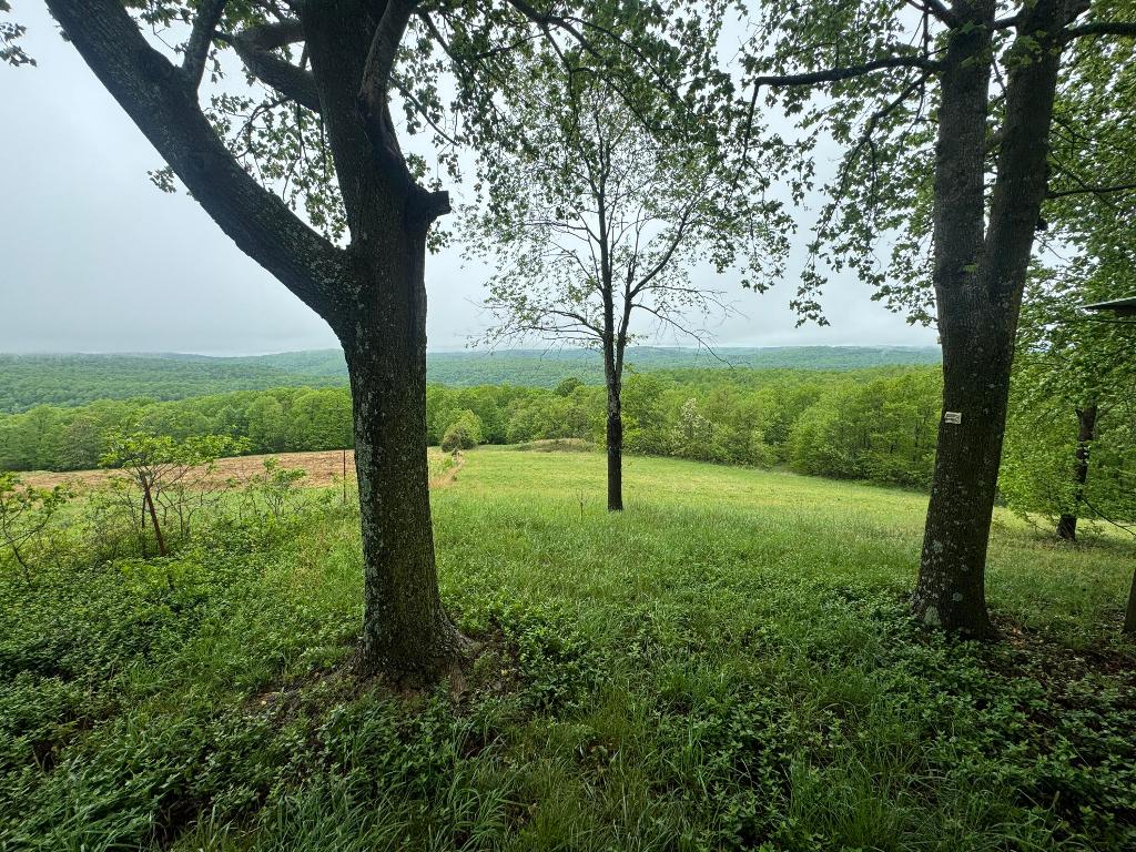 Image 15