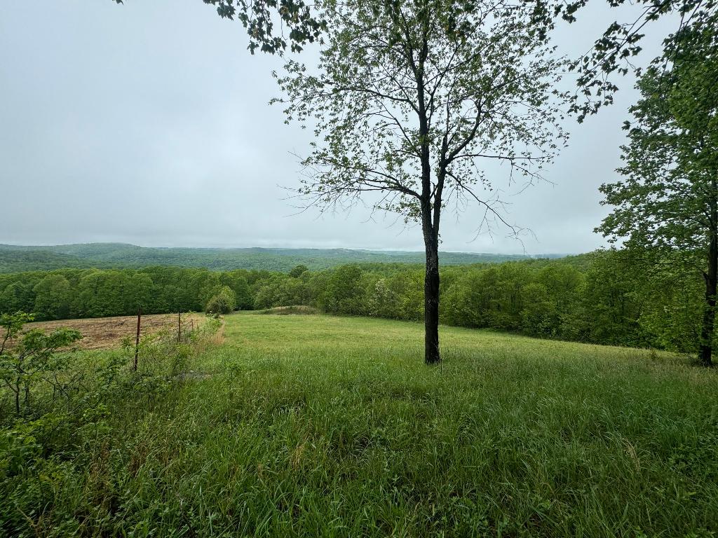 Image 16