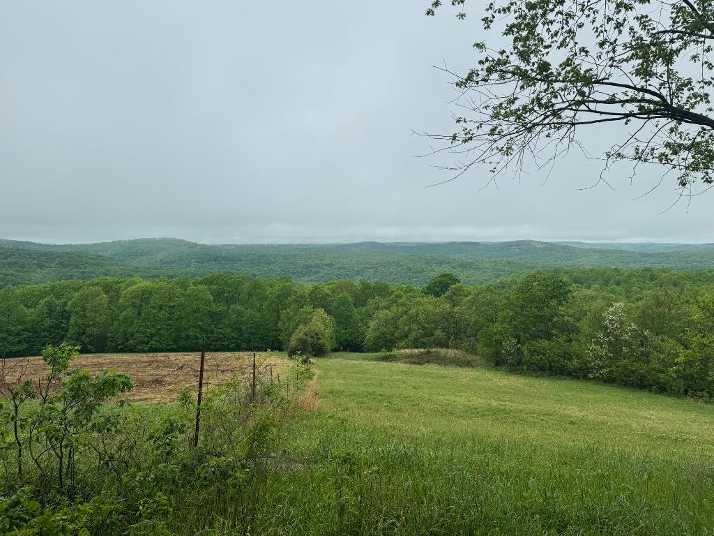 Image 17