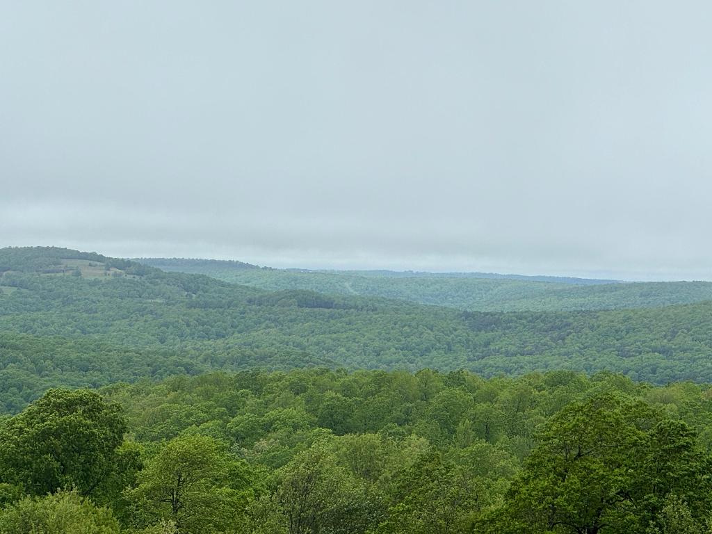 Image 21