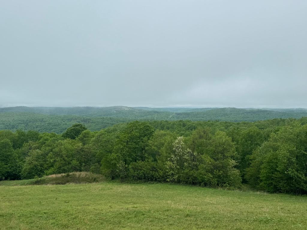 Image 22