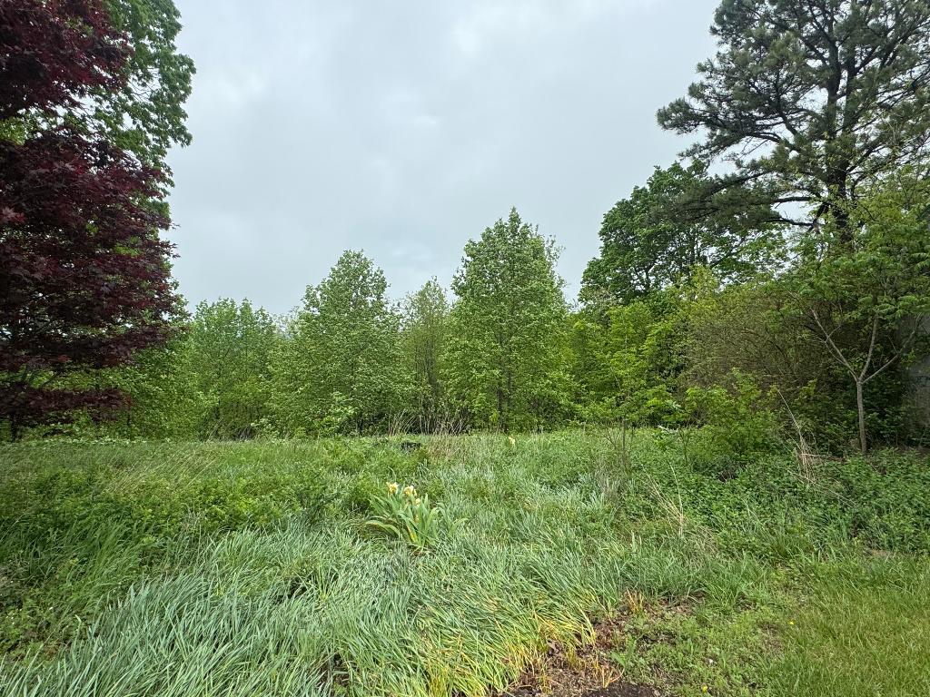 Image 37