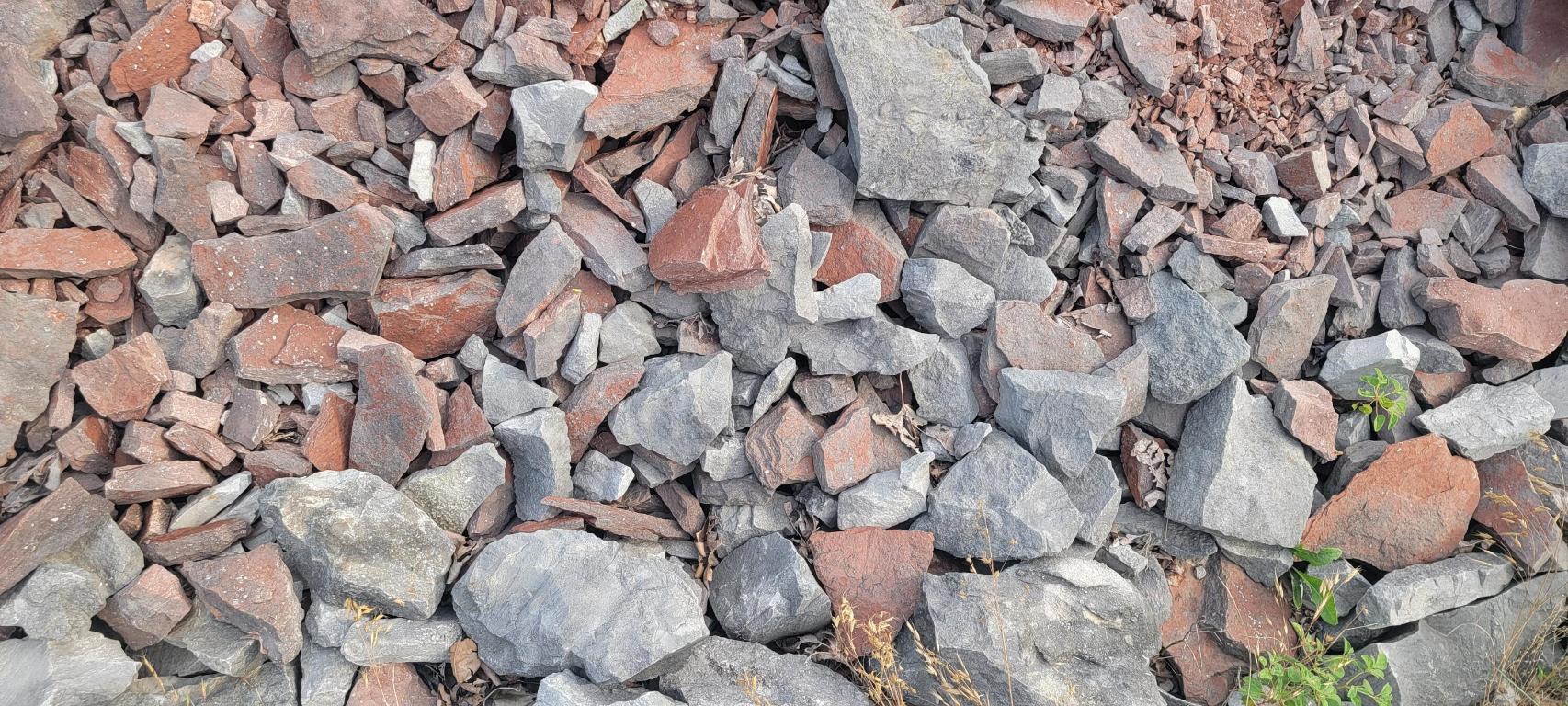 Image 14
