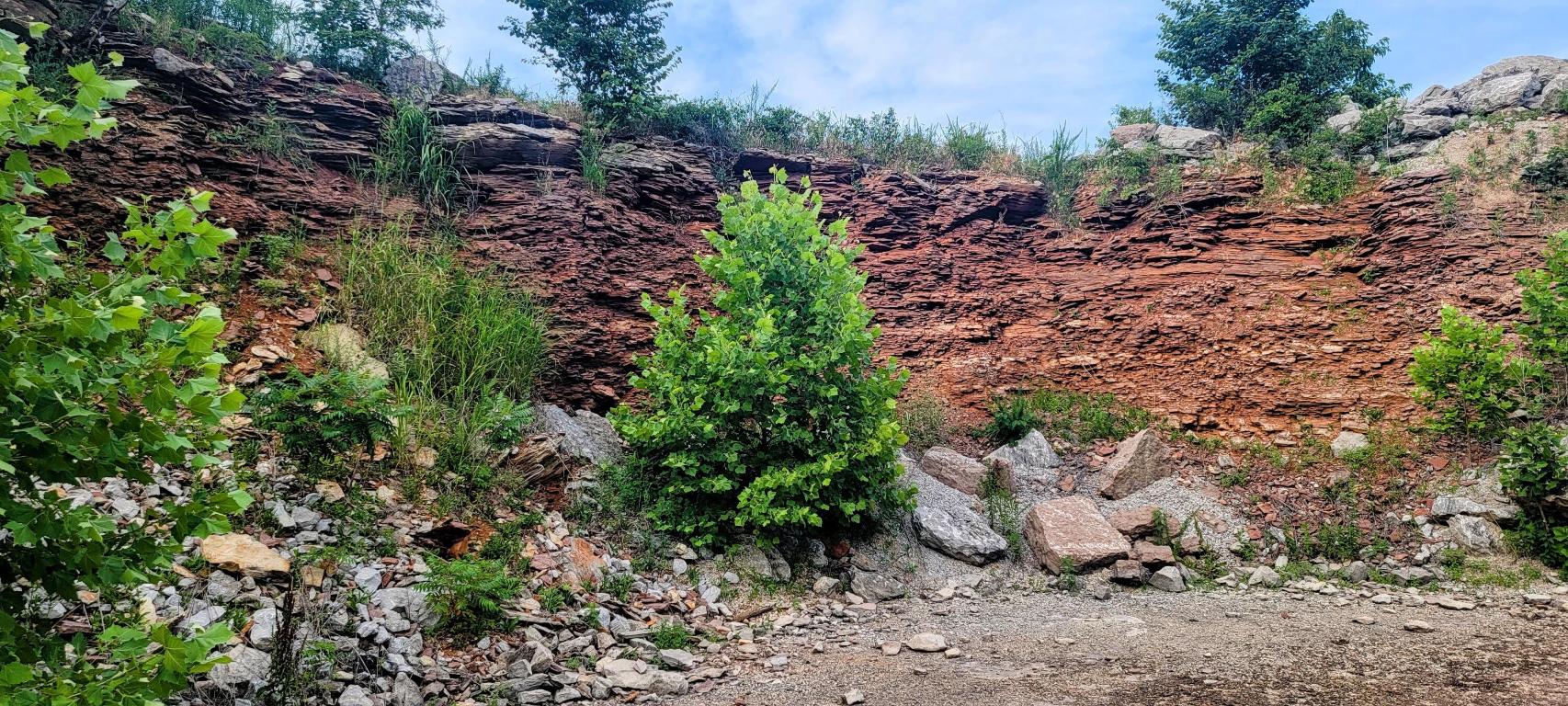 Image 15