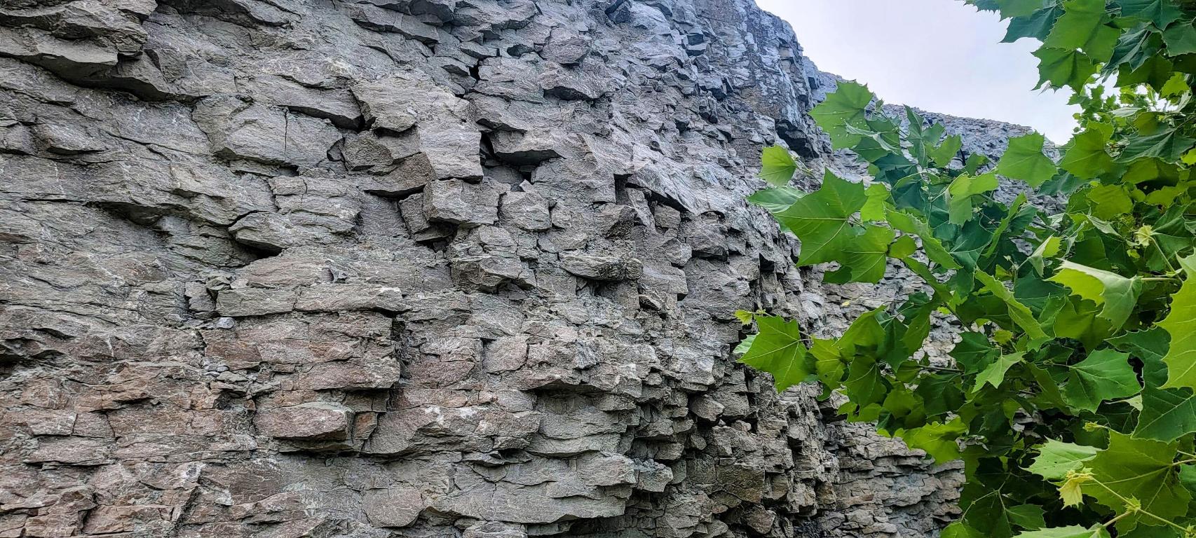 Image 17