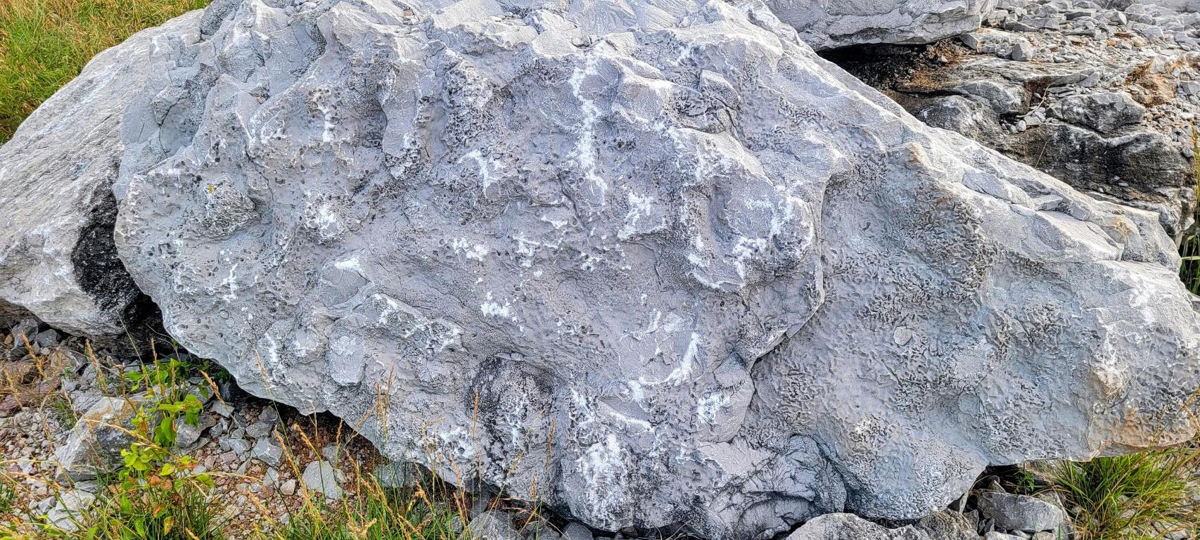 Image 18