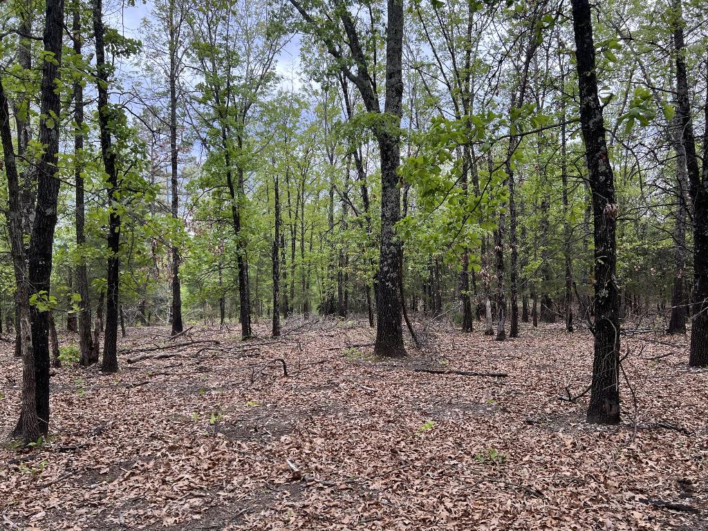 Ozark Haven Realty property-listing-thumbnail