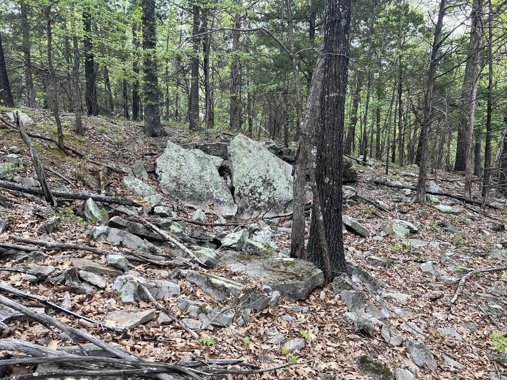 Image 12