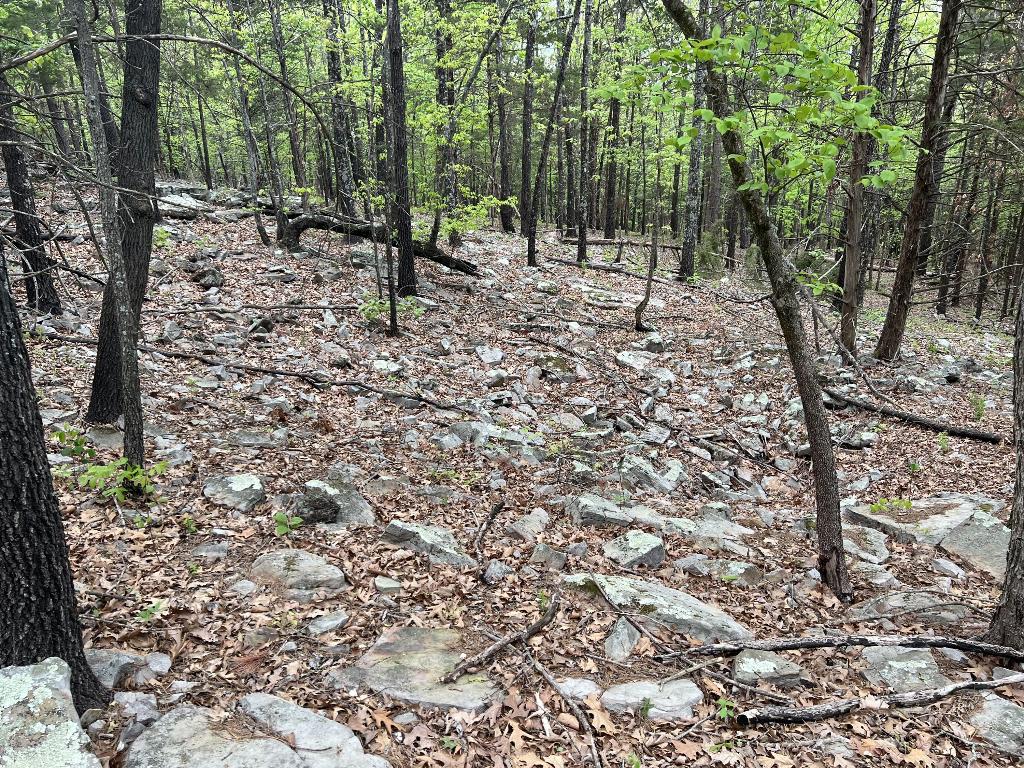 Image 13