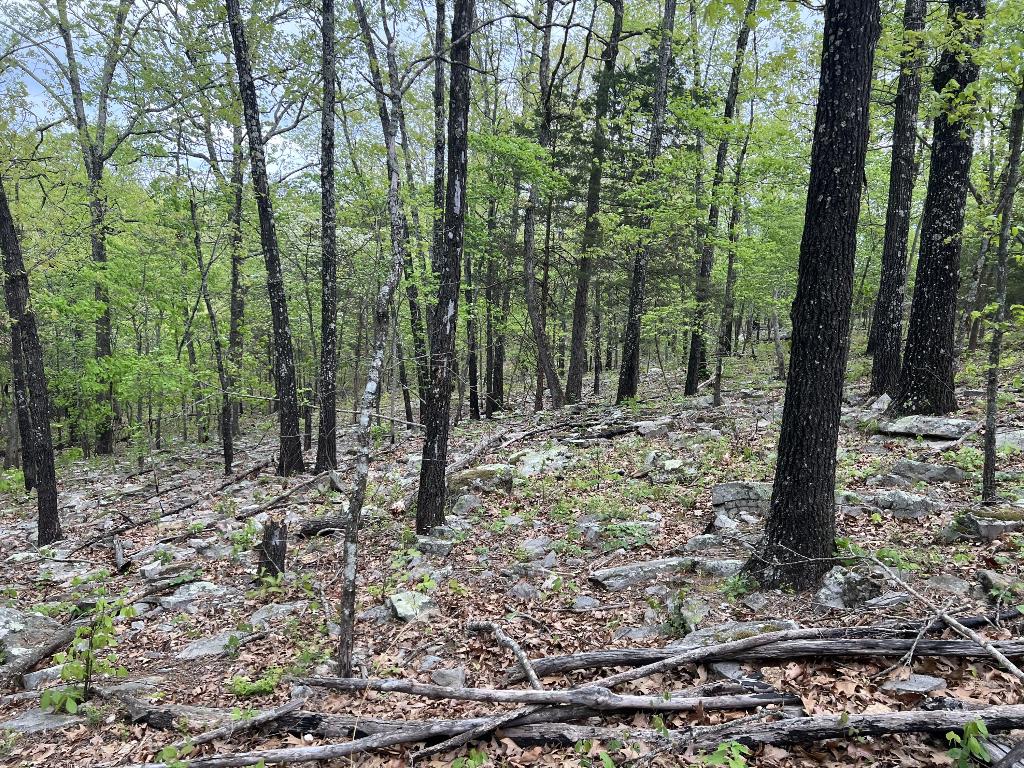 Image 8