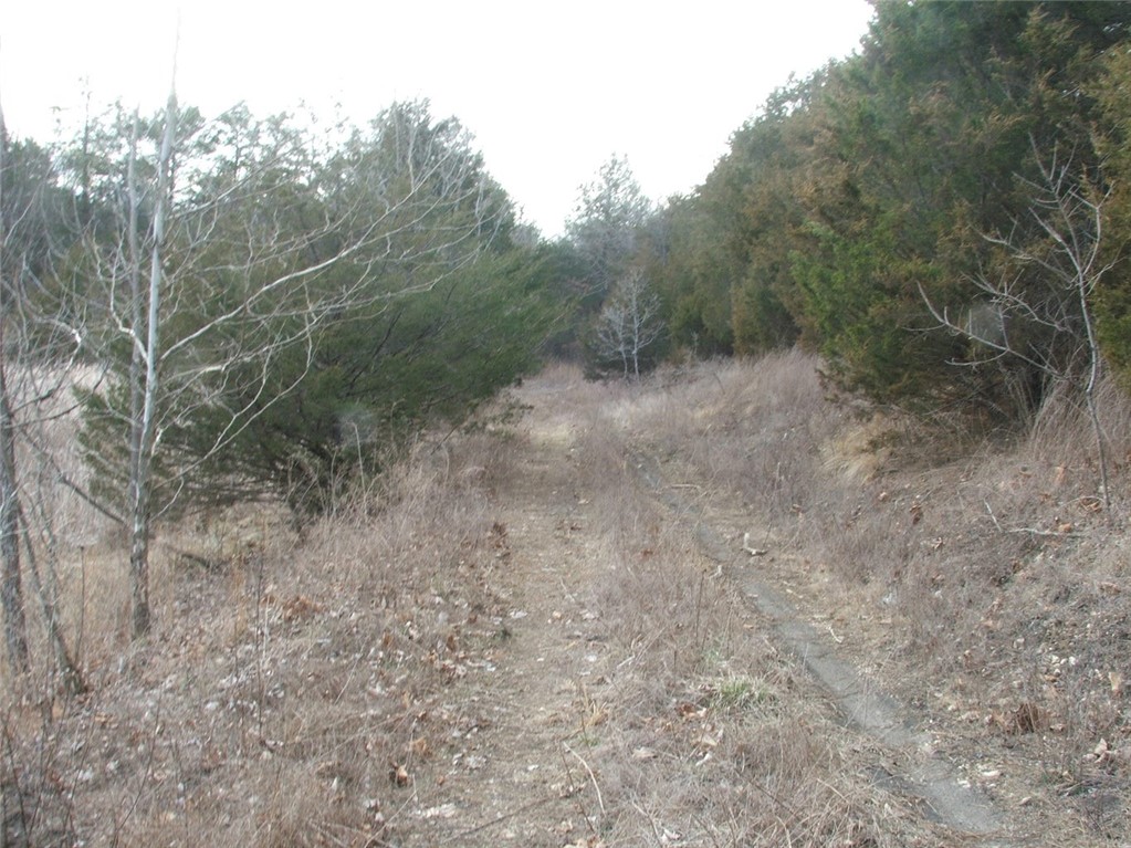 Image 13