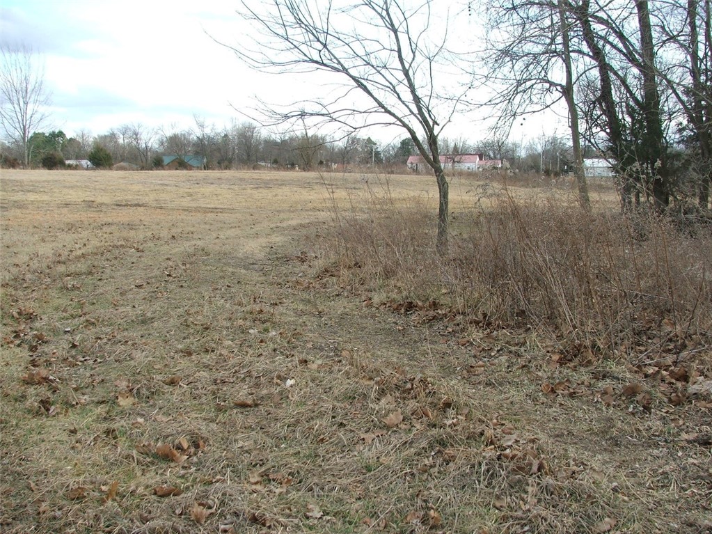 Image 15