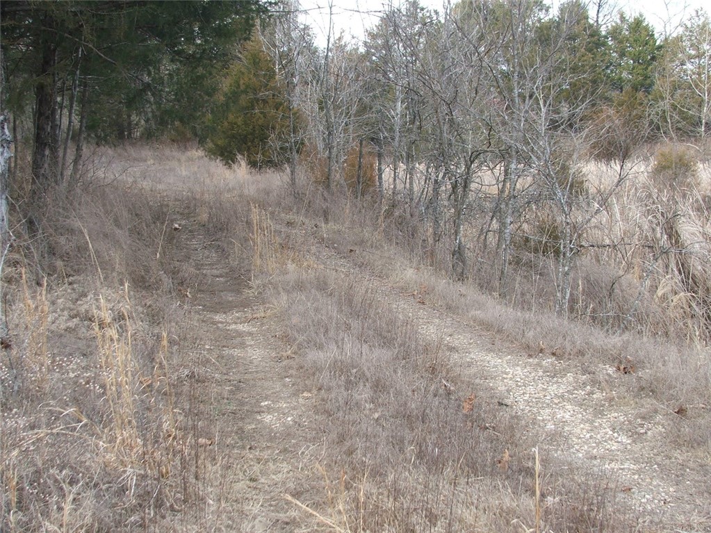 Image 16
