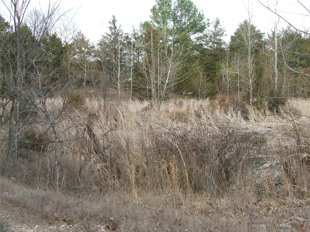Image 17