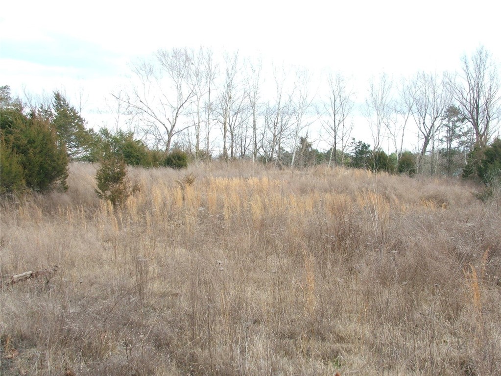Image 18
