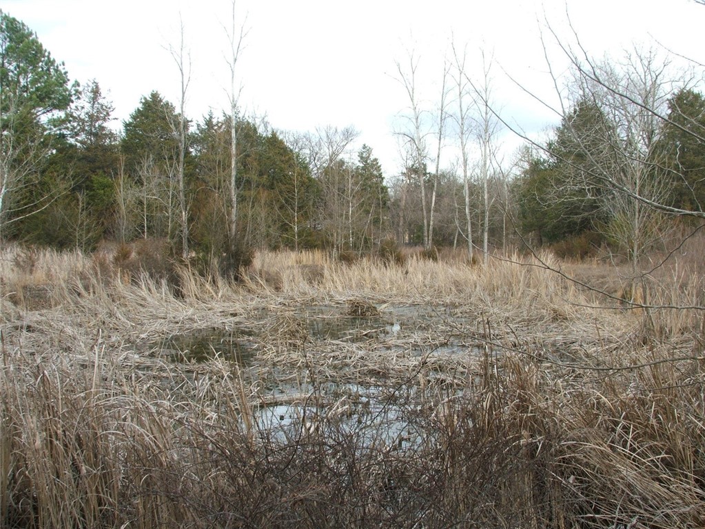 Image 19