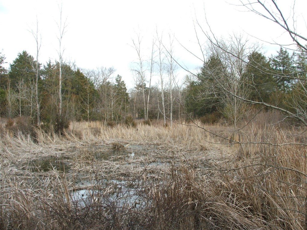 Image 20