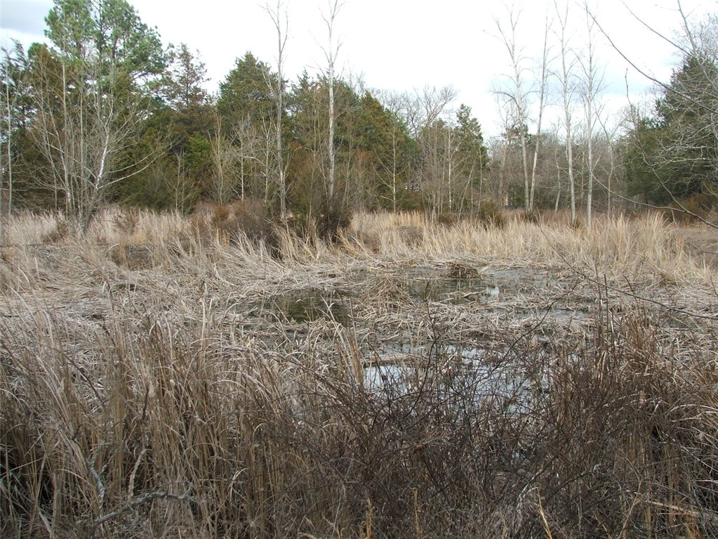 Image 22
