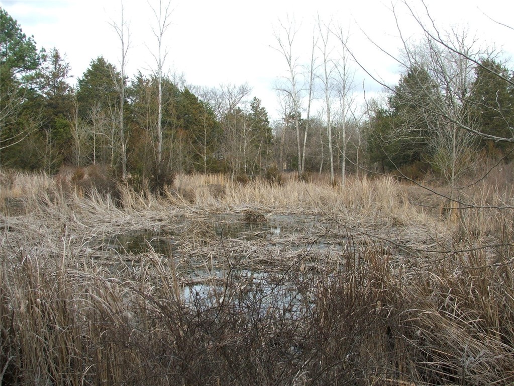 Image 23