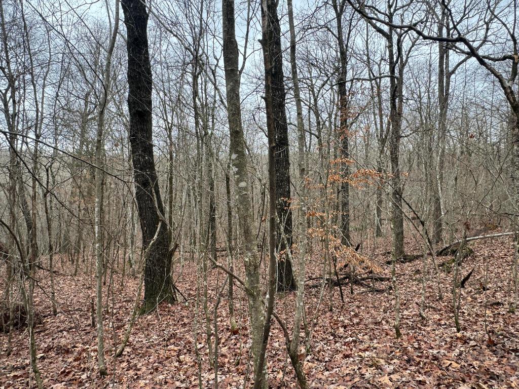 Image 14
