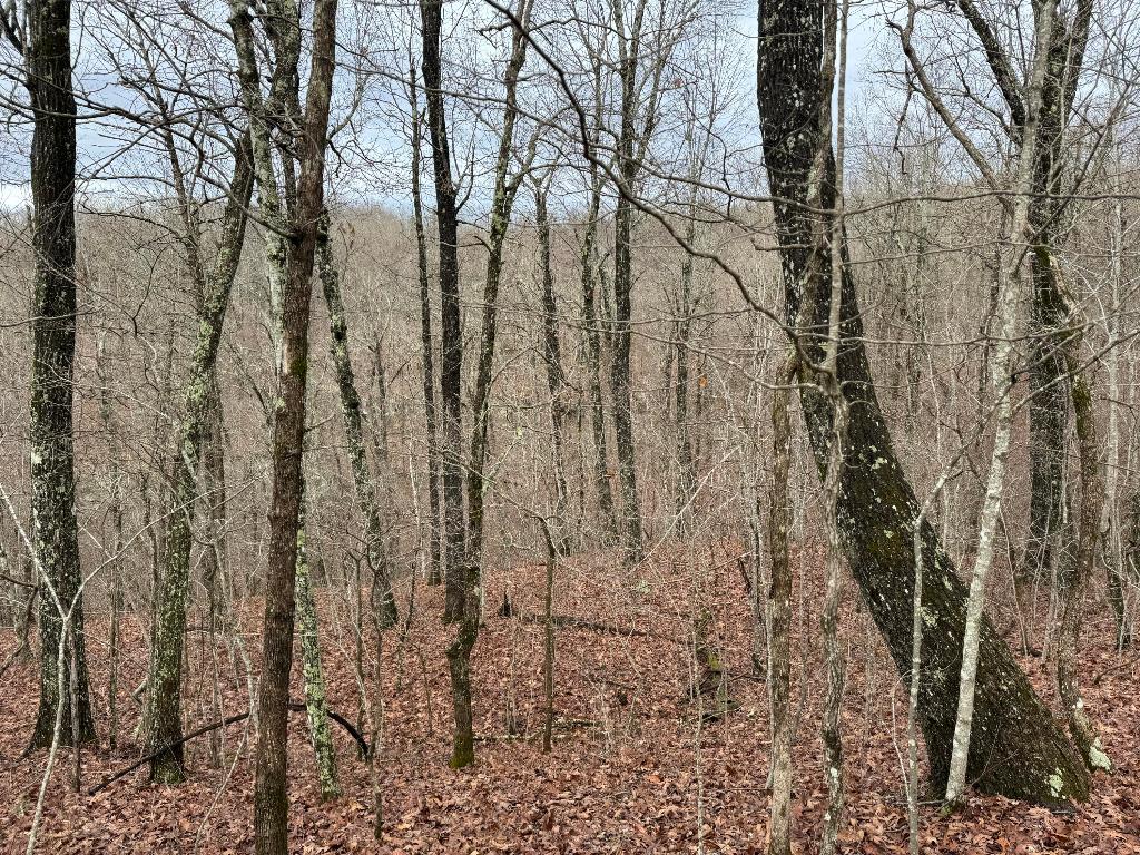 Image 19