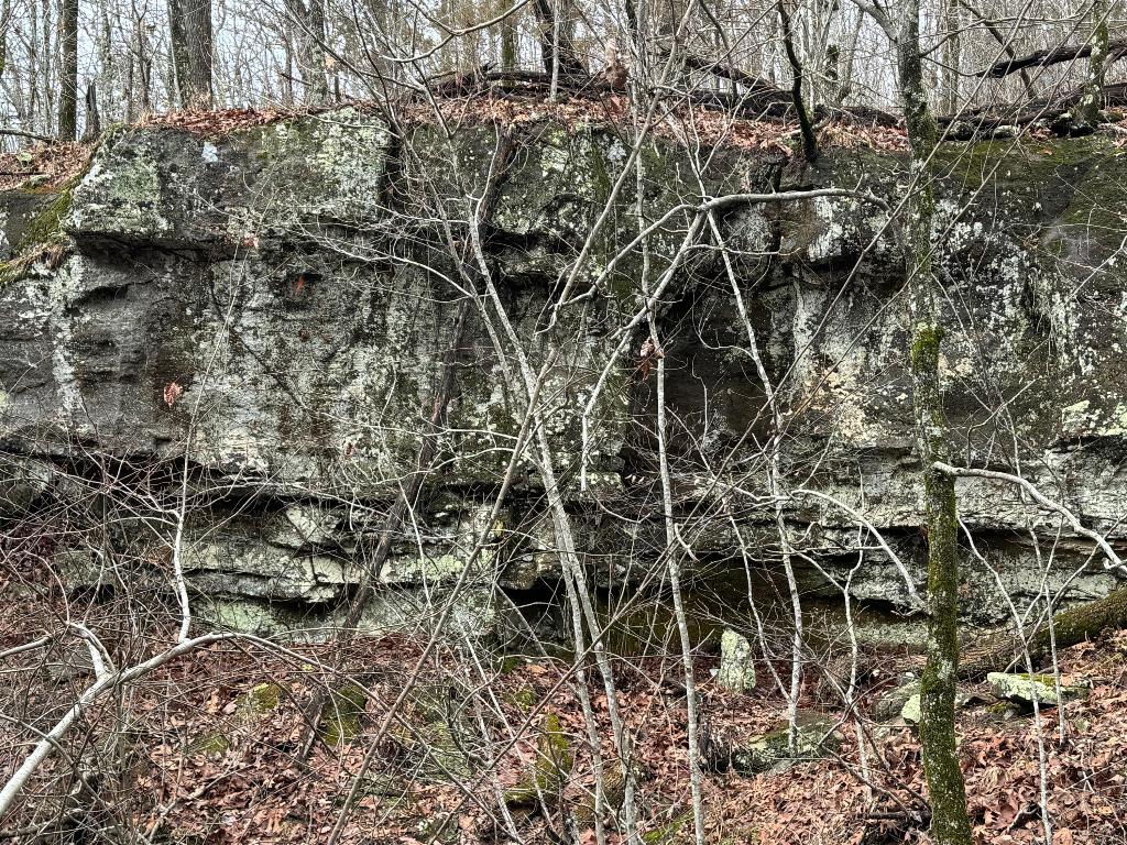 Image 25