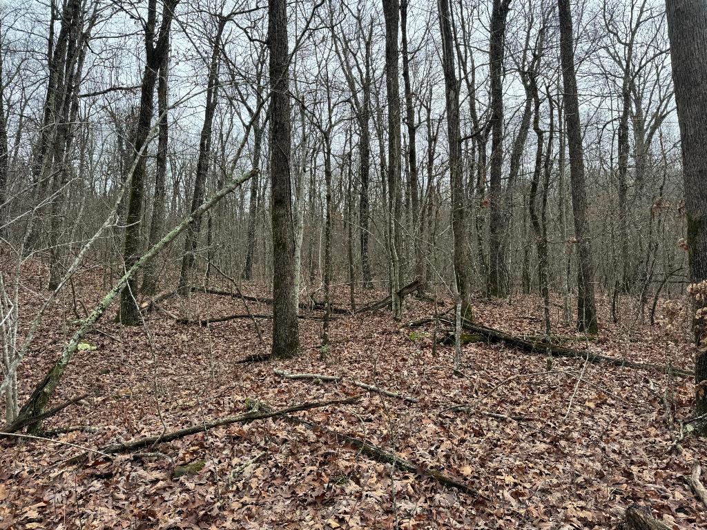 Image 33
